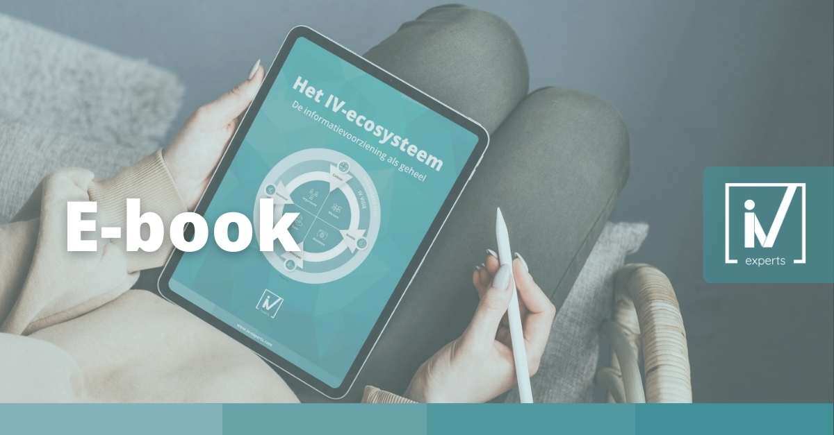 E-book het IV-ecosysteem: een complete weergave van de informatievoorziening.